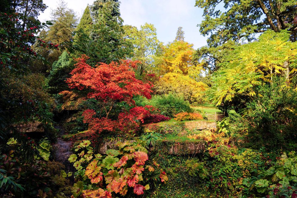 Batsford arboretum in the autumn