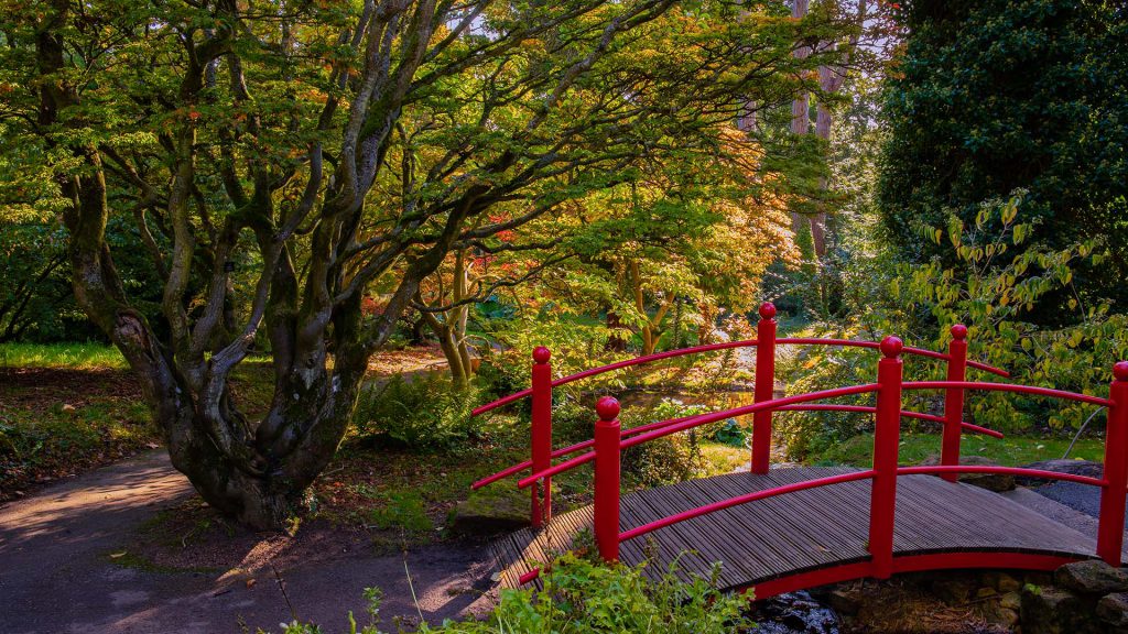 A bridge at Batsford