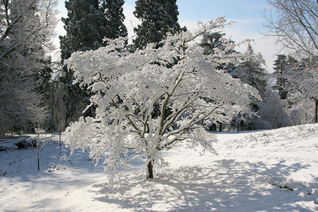 Batsford in the snow