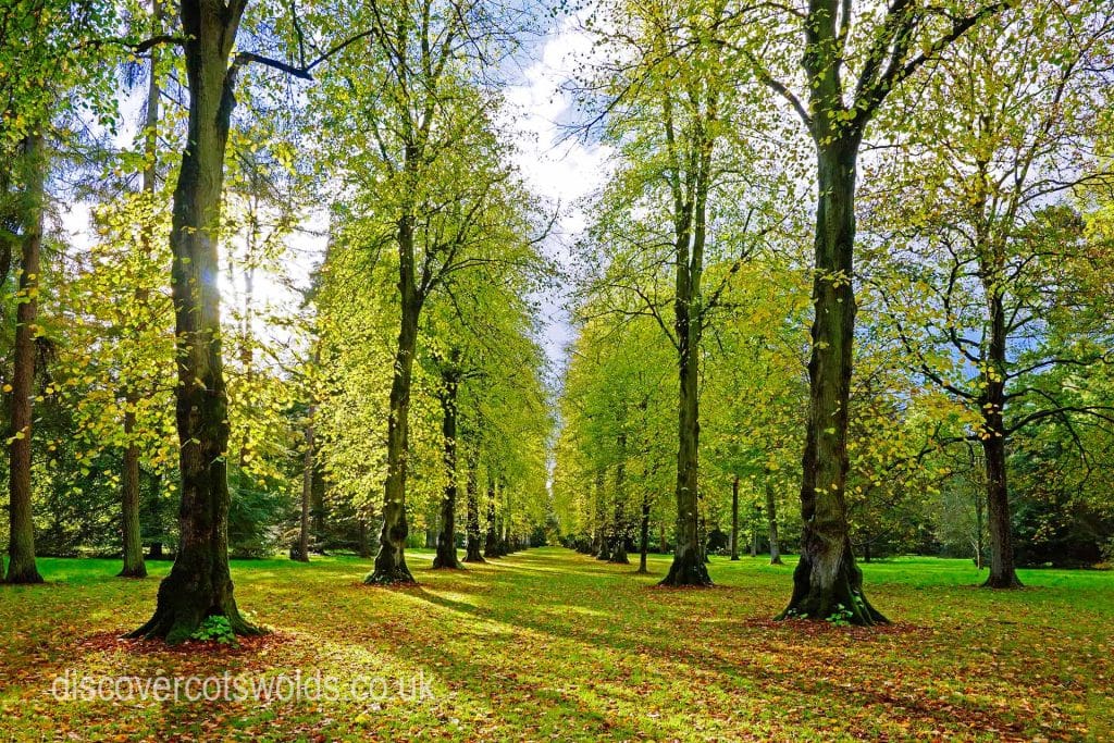 Westonbirt Arboretum